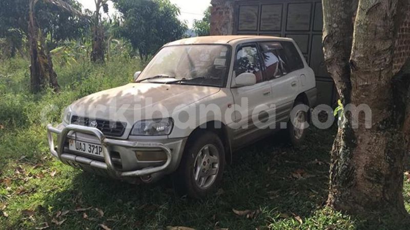 Big with watermark 52684538 587896431728469 597377204380237824 n