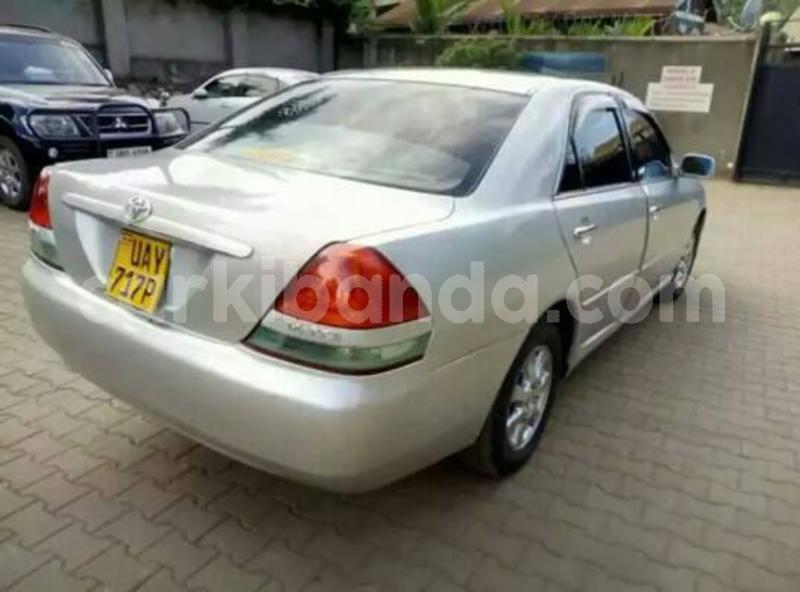 Big with watermark 52415893 848038202198542 8869475145505308672 n