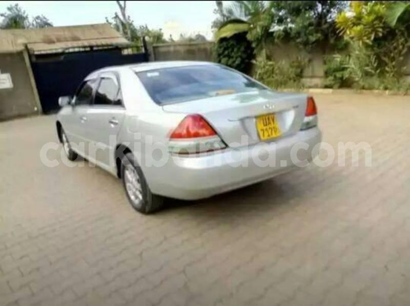 Big with watermark 52327074 848038225531873 1305563405356105728 n