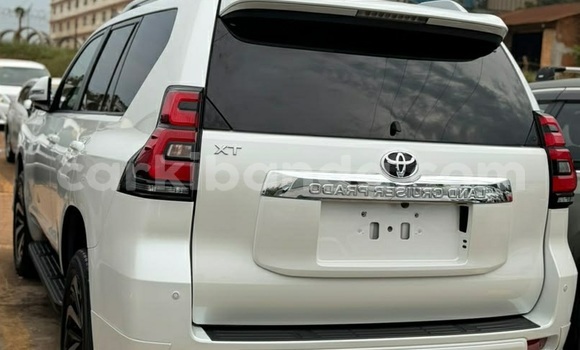 Buy Used Toyota Prado White Car in Kampala in Uganda Buy Used Toyota Prado White Car in Kampala in Uganda