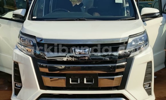 Buy Used Toyota Noah White Car in Kampala in Uganda Buy Used Toyota Noah White Car in Kampala in Uganda
