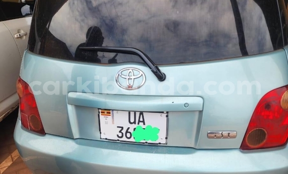 Buy Used Toyota IST Other Car in Kampala in Uganda