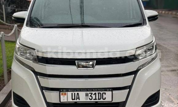 Gura Nshya Toyota Noah White Imodoka i Kampala mu Uganda Gura Nshya Toyota Noah White Imodoka i Kampala mu Uganda