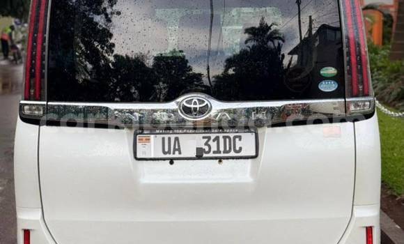 Buy New Toyota Noah White Car in Kampala in Uganda Buy New Toyota Noah White Car in Kampala in Uganda