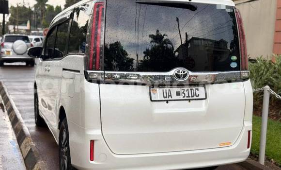Buy New Toyota Noah White Car in Kampala in Uganda Buy New Toyota Noah White Car in Kampala in Uganda