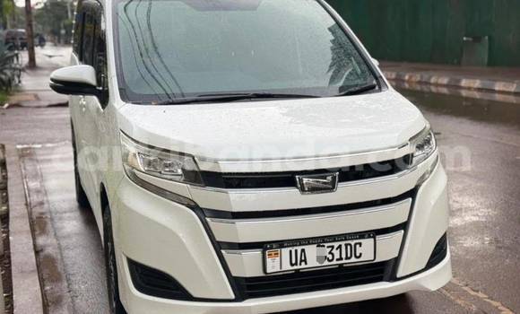 Buy New Toyota Noah White Car in Kampala in Uganda Buy New Toyota Noah White Car in Kampala in Uganda