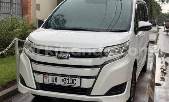 Buy New Toyota Noah White Car in Kampala in Uganda Buy New Toyota Noah White Car in Kampala in Uganda