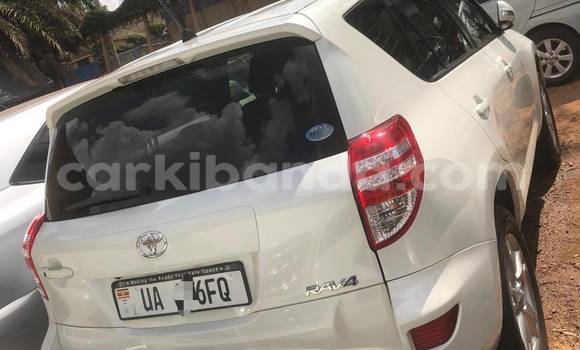 Buy New Toyota RAV4 White Car in Kampala in Uganda Buy New Toyota RAV4 White Car in Kampala in Uganda