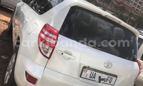 Buy New Toyota RAV4 White Car in Kampala in Uganda Buy New Toyota RAV4 White Car in Kampala in Uganda