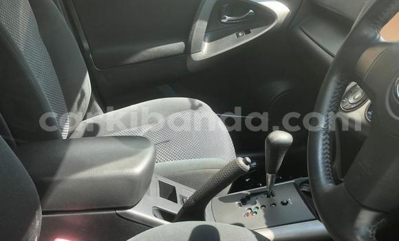 Buy New Toyota RAV4 White Car in Kampala in Uganda Buy New Toyota RAV4 White Car in Kampala in Uganda