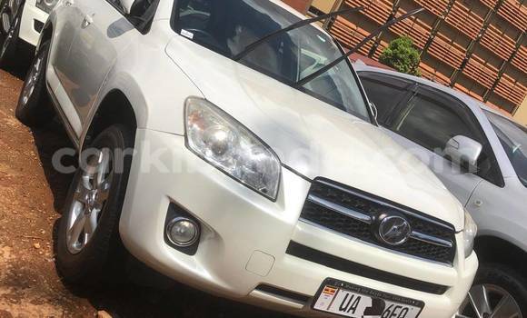 Buy New Toyota RAV4 White Car in Kampala in Uganda Buy New Toyota RAV4 White Car in Kampala in Uganda