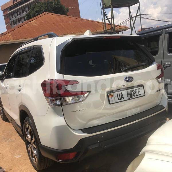 Big with watermark subaru forester uganda kampala 26399