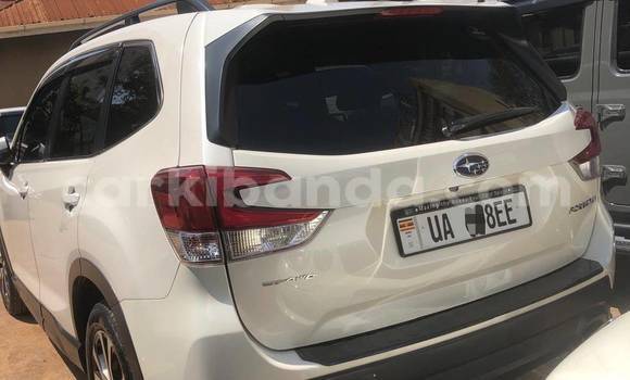 Acheter Neuf Voiture Subaru Forester Blanc à Kampala, Ouganda Acheter Neuf Voiture Subaru Forester Blanc à Kampala, Ouganda