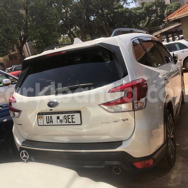 Big with watermark subaru forester uganda kampala 26399
