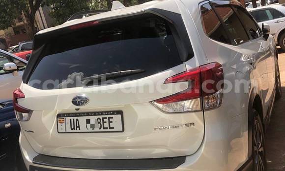 Acheter Neuf Voiture Subaru Forester Blanc à Kampala, Ouganda Acheter Neuf Voiture Subaru Forester Blanc à Kampala, Ouganda