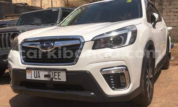 Acheter Neuf Voiture Subaru Forester Blanc à Kampala, Ouganda Acheter Neuf Voiture Subaru Forester Blanc à Kampala, Ouganda
