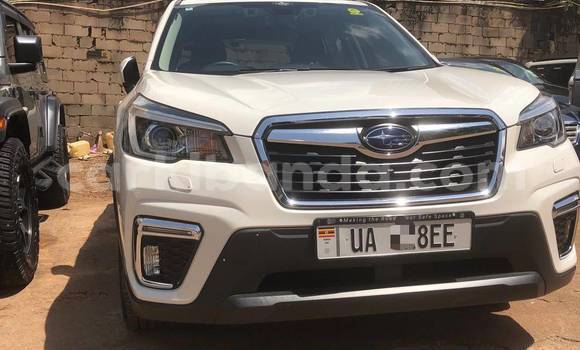 Acheter Neuf Voiture Subaru Forester Blanc à Kampala, Ouganda Acheter Neuf Voiture Subaru Forester Blanc à Kampala, Ouganda