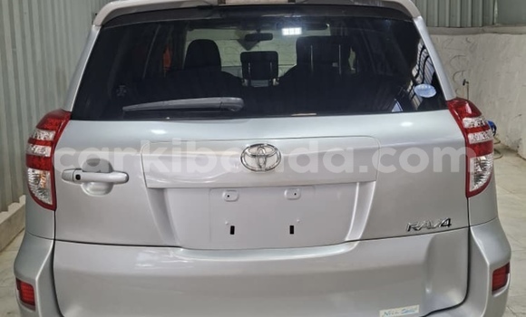 Buy Import Toyota RAV4 Silver Car in Kampala in Uganda Buy Import Toyota RAV4 Silver Car in Kampala in Uganda