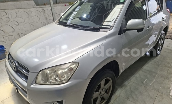 Buy Import Toyota RAV4 Silver Car in Kampala in Uganda Buy Import Toyota RAV4 Silver Car in Kampala in Uganda
