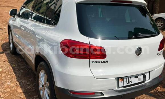 Acheter Neuf Voiture Volkswagen Tiguan Blanc à Kampala, Ouganda Acheter Neuf Voiture Volkswagen Tiguan Blanc à Kampala, Ouganda