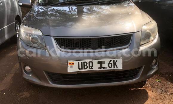 Buy New Toyota Fielder Other Car in Kampala in Uganda