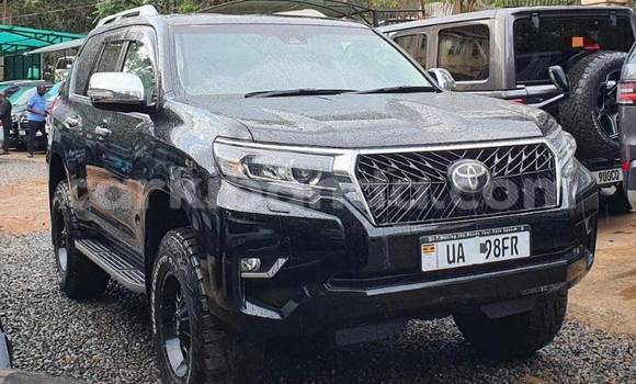 Buy New Toyota Land Cruiser Prado Black Car in Kampala in Uganda Buy New Toyota Land Cruiser Prado Black Car in Kampala in Uganda