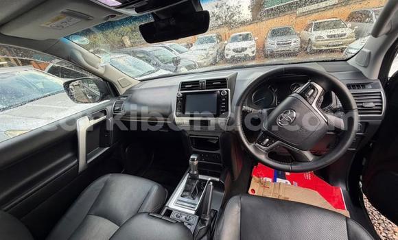 Buy New Toyota Land Cruiser Prado Black Car in Kampala in Uganda Buy New Toyota Land Cruiser Prado Black Car in Kampala in Uganda