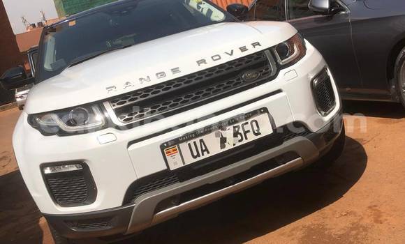 Acheter Neuf Voiture Land Rover Range Rover Evoque Blanc à Kampala, Ouganda