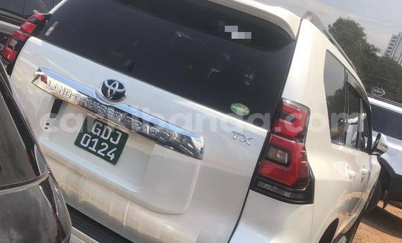 Buy New Toyota Land Cruiser White Car in Kampala in Uganda Buy New Toyota Land Cruiser White Car in Kampala in Uganda