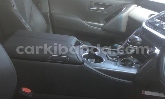 Buy New Toyota Land Cruiser White Car in Kampala in Uganda Buy New Toyota Land Cruiser White Car in Kampala in Uganda