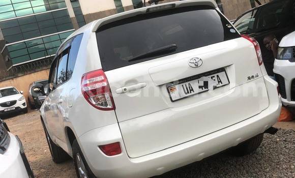 Buy New Toyota RAV4 White Car in Kampala in Uganda Buy New Toyota RAV4 White Car in Kampala in Uganda