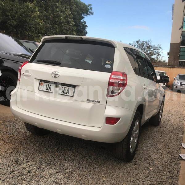 Big with watermark toyota rav4 uganda kampala 26425