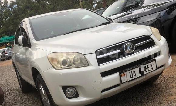 Buy New Toyota RAV4 White Car in Kampala in Uganda Buy New Toyota RAV4 White Car in Kampala in Uganda