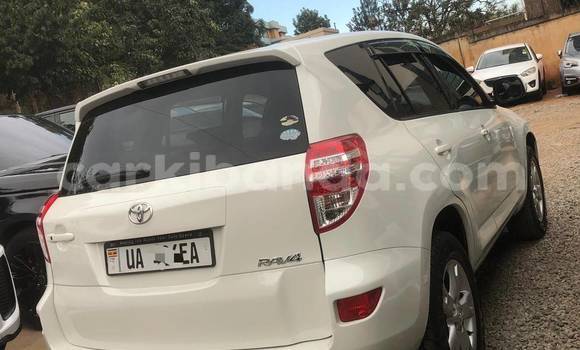 Buy New Toyota RAV4 White Car in Kampala in Uganda Buy New Toyota RAV4 White Car in Kampala in Uganda