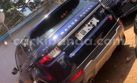 Gura Nshya Land Rover Range Rover Evoque Other Imodoka i Kampala mu Uganda