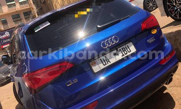 Buy New Audi Q5 Blue Car in Kampala in Uganda Buy New Audi Q5 Blue Car in Kampala in Uganda