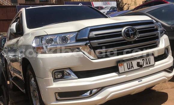 Acheter Neuf Voiture Toyota Land Cruiser Blanc à Kampala, Ouganda Acheter Neuf Voiture Toyota Land Cruiser Blanc à Kampala, Ouganda