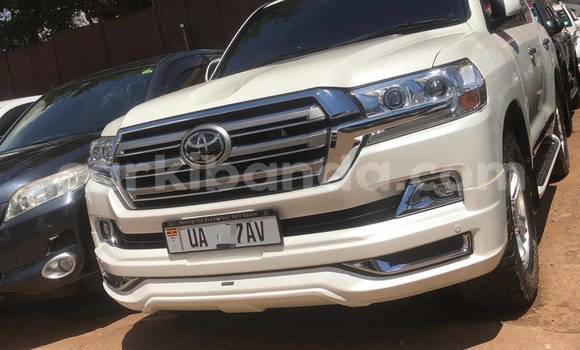 Buy New Toyota Land Cruiser White Car in Kampala in Uganda Buy New Toyota Land Cruiser White Car in Kampala in Uganda