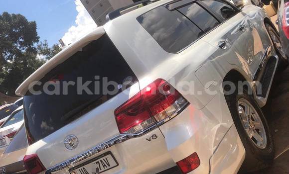 Buy New Toyota Land Cruiser White Car in Kampala in Uganda Buy New Toyota Land Cruiser White Car in Kampala in Uganda