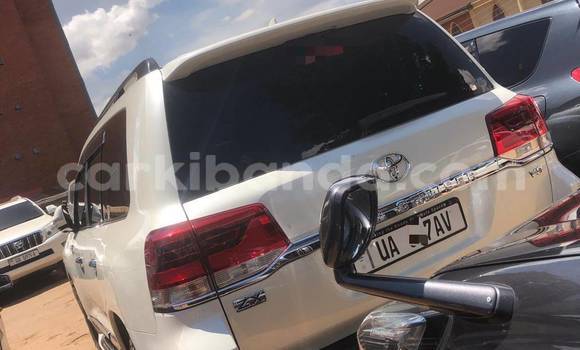 Buy New Toyota Land Cruiser White Car in Kampala in Uganda Buy New Toyota Land Cruiser White Car in Kampala in Uganda