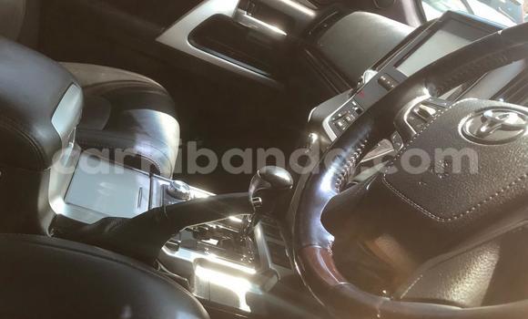 Buy New Toyota Land Cruiser White Car in Kampala in Uganda Buy New Toyota Land Cruiser White Car in Kampala in Uganda