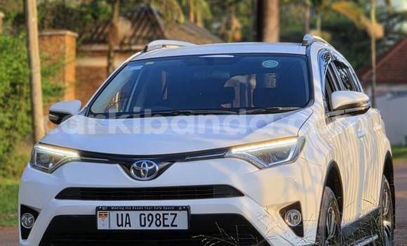 Buy New Toyota RAV4 White Car in Kampala in Uganda Buy New Toyota RAV4 White Car in Kampala in Uganda