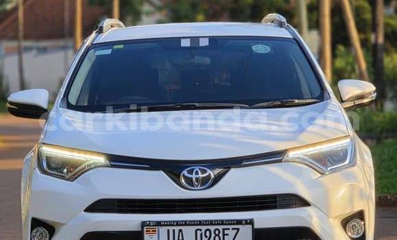 Buy New Toyota RAV4 White Car in Kampala in Uganda Buy New Toyota RAV4 White Car in Kampala in Uganda