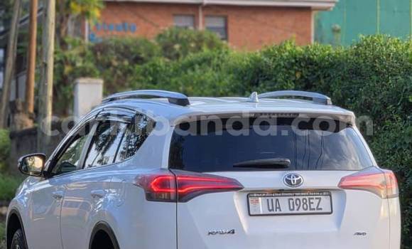 Buy New Toyota RAV4 White Car in Kampala in Uganda Buy New Toyota RAV4 White Car in Kampala in Uganda