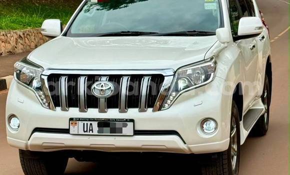Buy New Toyota Land Cruiser Prado White Car in Kampala in Uganda Buy New Toyota Land Cruiser Prado White Car in Kampala in Uganda