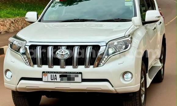 Buy New Toyota Land Cruiser Prado White Car in Kampala in Uganda Buy New Toyota Land Cruiser Prado White Car in Kampala in Uganda