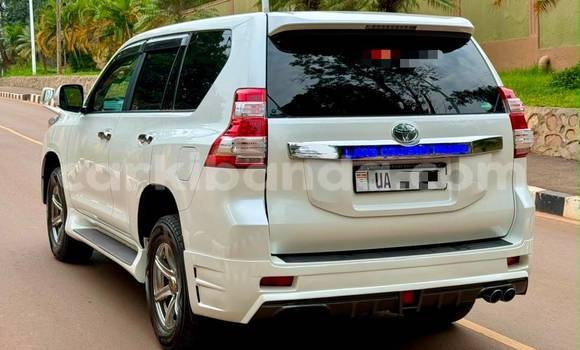 Buy New Toyota Land Cruiser Prado White Car in Kampala in Uganda Buy New Toyota Land Cruiser Prado White Car in Kampala in Uganda
