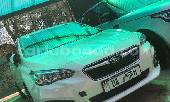 Gura Nshya Subaru Impreza White Imodoka i Kampala mu Uganda Gura Nshya Subaru Impreza White Imodoka i Kampala mu Uganda