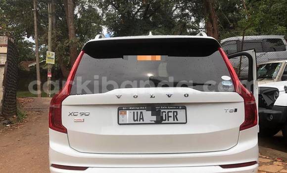 Buy New Volvo XC90 White Car in Kampala in Uganda