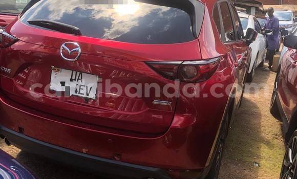 Buy New Mazda CX-5 Red Car in Kampala in Uganda Buy New Mazda CX-5 Red Car in Kampala in Uganda